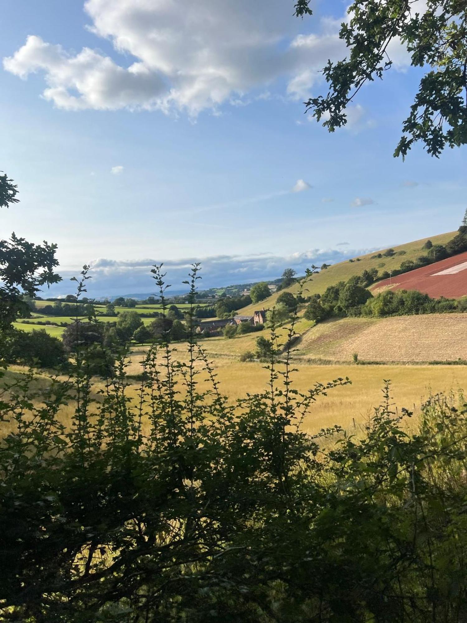 Countryside Converted Barn With Hot Tub Newton Abbot Exterior foto